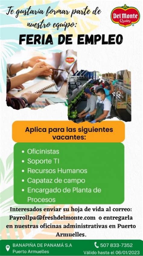 empleo arrecife|16 Ofertas de Empleo en Arrecife en